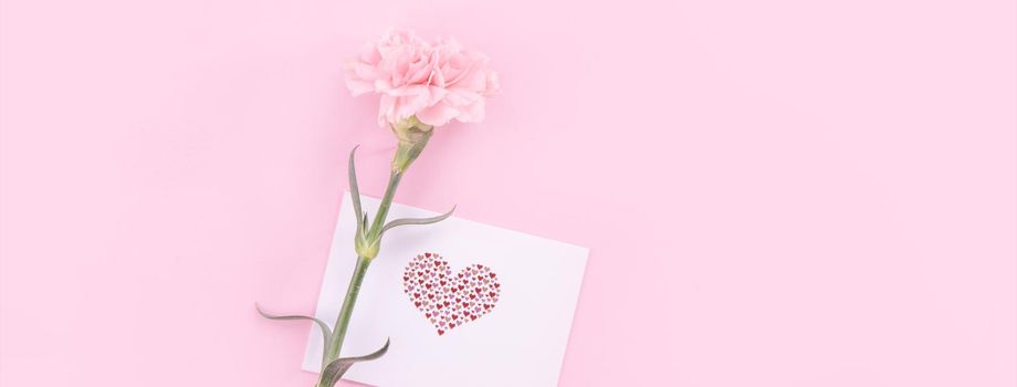 Beautiful, fresh elegant carnation flower bouquet with white greeting thanks gift card isolated on bright pink color background, top view, flat lay concept.