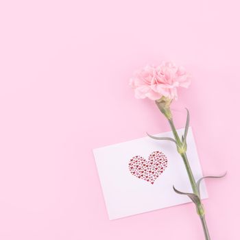 Beautiful, fresh elegant carnation flower bouquet with white greeting thanks gift card isolated on bright pink color background, top view, flat lay concept.