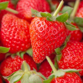 Beautiful and delicious strawberries in a wooden box basket, concept of organic farming, fresh direct delivery from orchard, close up.