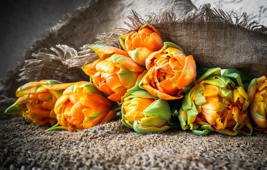 Beautiful orange tulips with a linen napkin