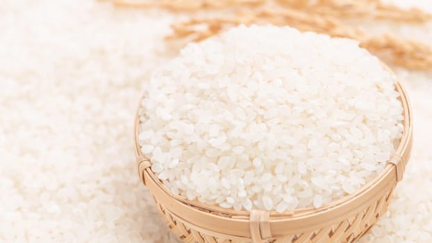 Raw white polished milled edible rice crop on white background in brown bowl, organic agriculture design concept. Staple food of Asia, close up.