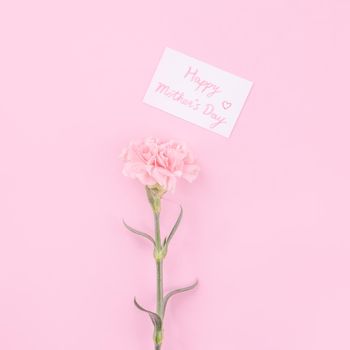 Beautiful, fresh elegant carnation flower bouquet with white greeting thanks gift card isolated on bright pink color background, top view, flat lay concept.