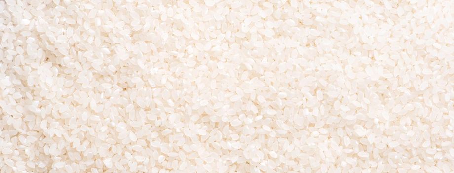 Raw white polished milled edible rice crop on white background in brown bowl, organic agriculture design concept. Staple food of Asia, close up.