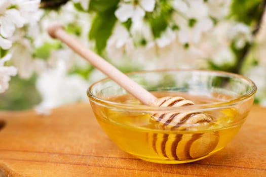 Flower honey in a glass bowl with wooden honey spoon on wooden table with blossoming flowers.