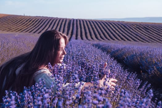 Lavender flower blooming scented fields in endless rows. Selective focus on Bushes of lavender purple aromatic flowers at lavender field. Abstract blur for background.