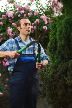 Portrait of professional male gardener floriculturist, horticulturist in blue uniform, holding pruners, cutting a hedge in the courtyard of a mansion. Home and garden decoration concept. Landscaping