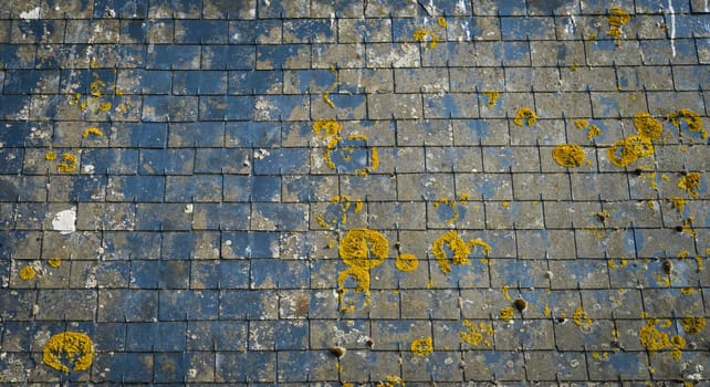 Roof of a house with dark slate and moss tiles, with lots of texture in shades of blue and yellow.