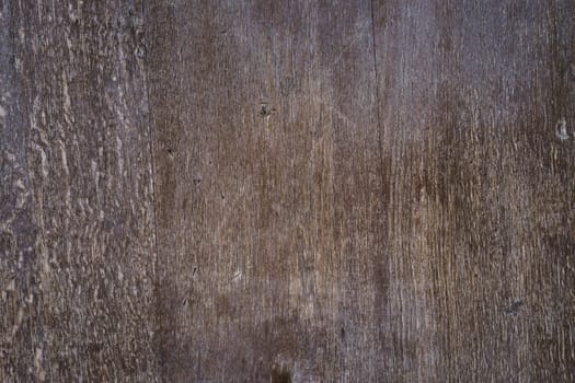 Texture of an old wooden door in brown tones. Concept backgrounds and stencils.