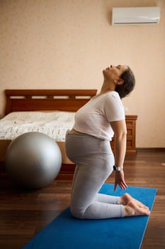 Portrait of gravid mother expecting a baby, pregnant woman exercising at home on a fitness mat, kneeling and doing stretching exercises, stretches her back muscles for wellness during pregnancy