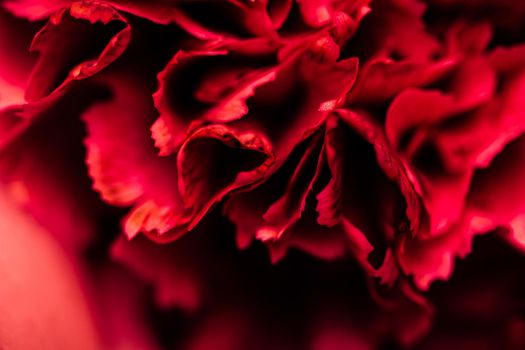 Retro art, vintage card and botanical concept - Abstract floral background, red carnation flower petals. Macro flowers backdrop for holiday brand design