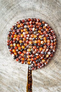 Spiral from beads of amber fireplace faceted agate look like tree on rough surface of an old stump with a crack