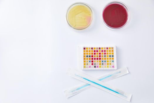 Concept of Pharmaceutical Research of Antibiotics, Curing Disease Fighting Epidemics