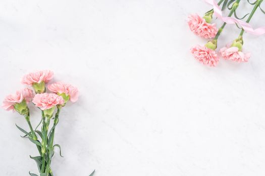 Beautiful, elegant pink carnation flower over bright white marble table background, concept of Mother's Day flower gift, top view, flat lay, overhead