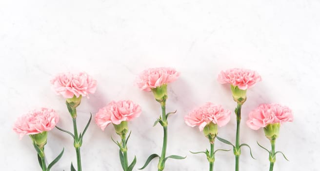 Beautiful, elegant pink carnation flower over bright white marble table background, concept of Mother's Day flower gift, top view, flat lay, overhead