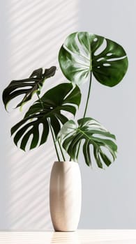 Houseplant monstera in a pot. Generative AI. High quality illustration