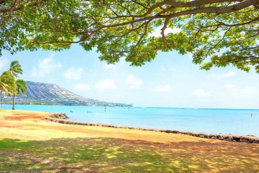 View of Kokohead Crater, Oahu, and ocean horizon from under large shade tree