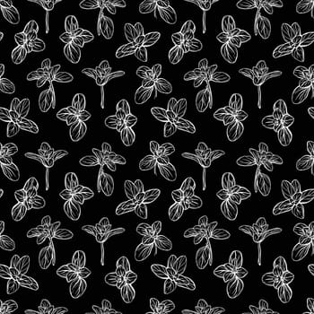 Basil Seamless Pattern. Italian herbs.A sprig of marjoram. Basil is a fragrant and fragrant seasoning. Hand-drawn illustration