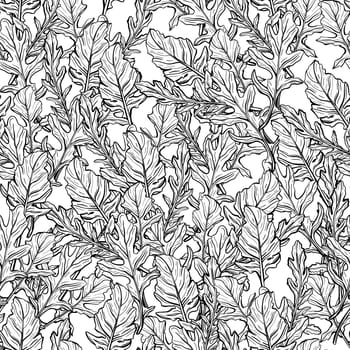 seamless pattern of Arugula leaves. Spicy and aromatic Italian seasoning