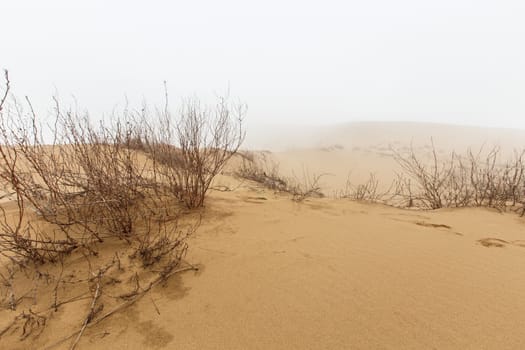 Barkhan Sarykum. Dagestan, Russia. Sand mountain in the Caucasus. Dune. High quality photo