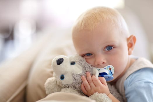 Cute, relax and portrait of a baby with a toy for comfort, sleep and playing in a house. Adorable, pacifier and a little child with a bear on the living room sofa for calm, relaxing and play.