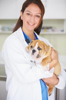 Woman vet, puppy and clinic portrait with smile, care and love for health, wellness or growth. Female veterinarian, doctor and dog with hug, happiness and healthcare in hospital for medical attention.