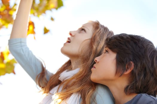 Learning, leaf and trees with children in nature for autumn, environment and explore. Study, education and season with young girl and boy with research in park for leaves, discovery and adventure.