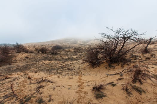 Barkhan Sarykum. Dagestan, Russia. Sand mountain in the Caucasus. Dune. High quality photo