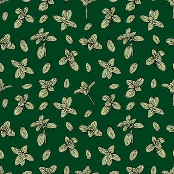 Basil Seamless Pattern. Italian herbs. Marjoram pattern. Hand-drawn illustration.