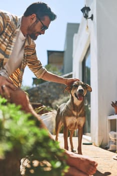 Someone wants to go for their daily exercise today. a cheerful young man petting his dog outside of his home during the day