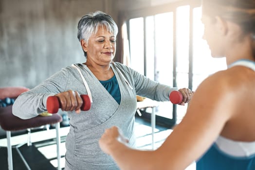 Coaching, dumbbell and fitness with old woman and personal trainer for support, health or physiotherapy. Training, weightlifting and workout with senior client and female trainer for elderly exercise.