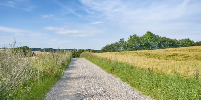 Countryside, road and path to drive on farm, forest or landscape with trees on horizon or travel in rural dirt roadway. Pathway, journey in farmland or asphalt line in grass fields and nature.