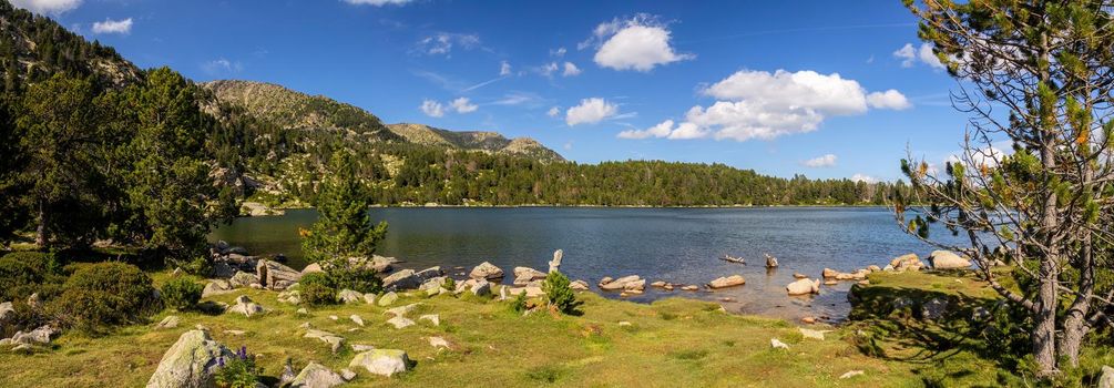 Summer landscape, lake Malniu in La Cerdanya, Pyrenees mountain, Catalonia, Spain.