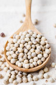 Dried white peppercorn seeds in wooden spoon.