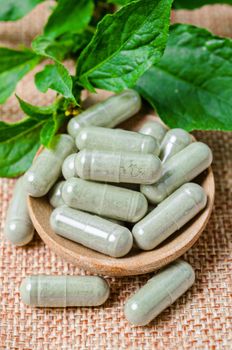Pile of herbal medicine capsules in wooden spoon with green leaf on sack background.