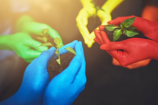 Planting a better tomorrow. unrecognizable people holding budding plants in their multi colored hands