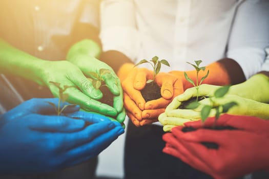 We all know what to do. unrecognizable people holding budding plants in their multi colored hands