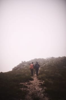 This is what you need right now. two friends and a dog out hiking in the mountains on a foggy day
