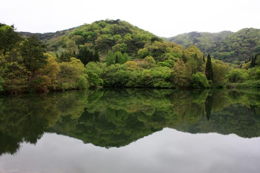 sky,tree,water,mountain,plant,lake,landscape,aqua,blue,green,nature,reflection,rock,turquoise