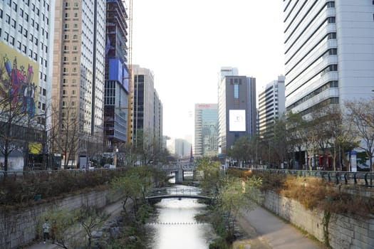 sky,tree,skyscraper,water,building,plant,window,city,downtown,metropolis,neighbourhood,waterway