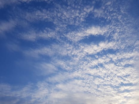 sky,atmosphere,tree,cloud,horizon,blue,cumulus,plant,beige,brown,orange,peach,skin