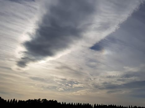 sky,atmosphere,dusk,tree,cloud,cumulus,plant,daytime,horizon,nature