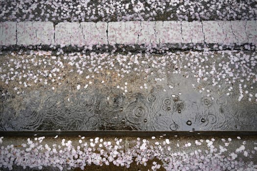 line,pattern,metal,water,precipitation,photograph,rectangle,font,asphalt,cement,concrete,rain,wall