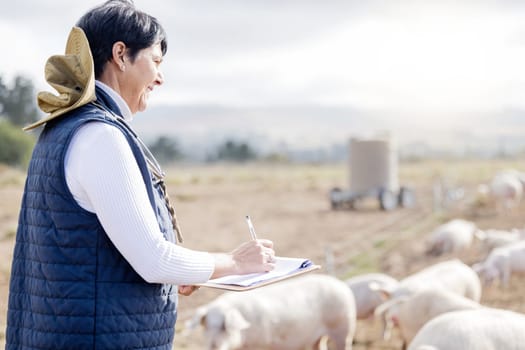 Farmer, pig or senior woman with checklist for animal wellness inspection on clipboard. Agriculture, healthcare or mature person working in countryside farming bacon meat livestock in pork production.