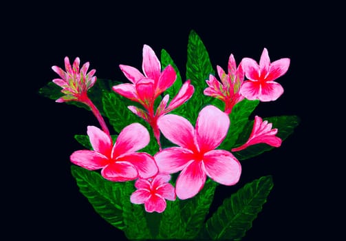 Oil painting of pink tropical flowers with five petals on black canvas