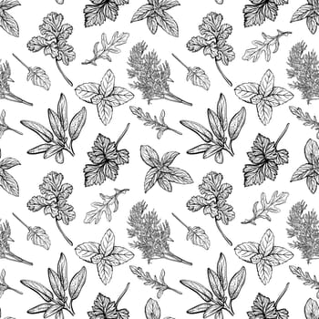 Italian herbs seamless pattern. Provencal condiments and herbs pattern. Mediterranean cuisine. Hand-drawn illustration