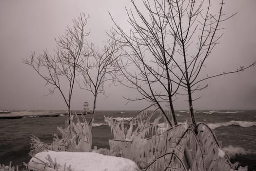 Bare trees covered in snow with a lighthouse and water in the background and an overcast day in the Bruce Peninsula, Ontario, Canada