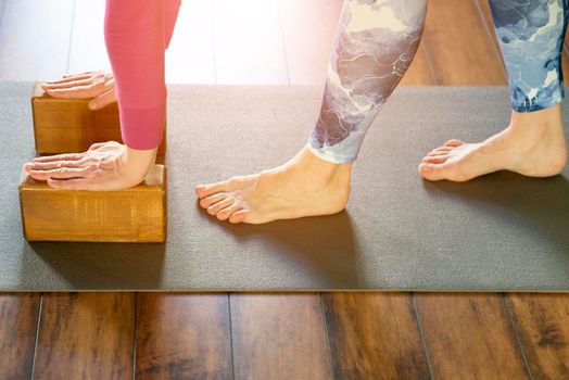 Women practicing yoga therapy, stretching in down dog using blocks and the wall, downward facing dog, exercise for spine and shoulders flexibility, working out, closeup
