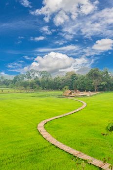 Wooden bridge amidst paddy fields with the farmer's straw house with blue sky.