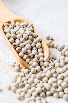 Dried white peppercorn seeds in wooden scoop.