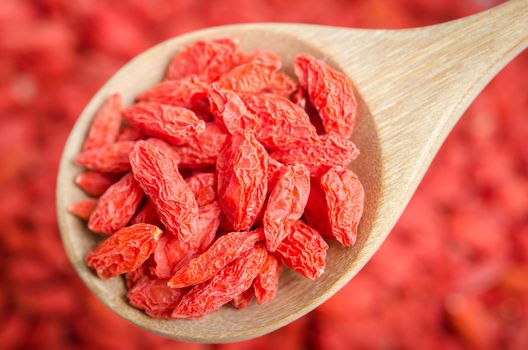 Dried Chinese wolfberries or goji berries in wooden spoon.